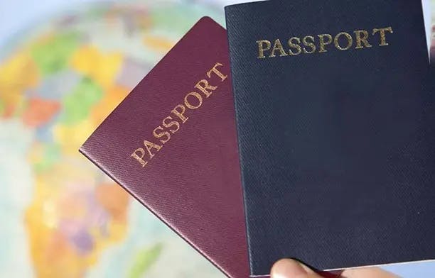5 Popular Passport By Investment Programs in 2024 preview image